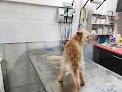 Negocio Amaita Vet - Veterinario Irun