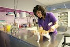 Negocio Anicura Abros Hospital Veterinario
