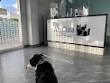 Anicura Albea Hospital Veterinario | Urgencias 24h