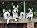 Anicura Albeitar Hospital Veterinario | Urgencias 24h