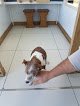 Anicura Aragó Hospital Veterinari | Urgències 24h