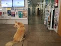 Negocio Anicura Bofarull Hospital Veterinari | Urgencias 24h