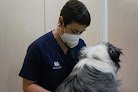 Negocio Anicura Mediterrani Hospital Veterinari