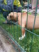 Negocio Anicura Terán Clínica Veterinaria | Servicio De Urgencias