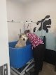 Negocio Aro Veterinaria