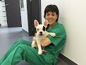 Negocio Boovet Clínica Veterinaria