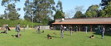 Negocio Cecapa - Centro Canino Parayas