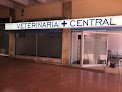 Central Vet Palma S.l.