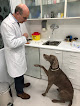 Centro Clínico Veterinario Dr. Armando Solís