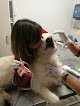 Negocio Centro De Rehabilitacion Veterinaria