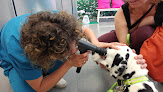 Negocio Centro Oftalmológico Veterinario Vission