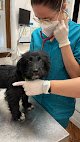 Negocio Centro Veterinario Bulnes