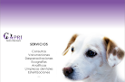 Negocio Centro Veterinario Capri
