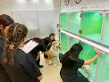 Centro Veterinario Castilla