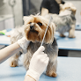 Centro Veterinario Ciudad Naranco