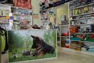 Centro Veterinario Don Guau