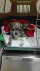 Negocio Centro Veterinario Iregua