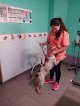 Negocio Centro Veterinario La Soledad - Urgencias