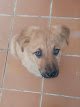 Negocio Centro Veterinario Mervet Valle De Mena