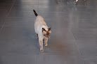 Negocio Centro Veterinario Mr. Vet Medina De Pomar