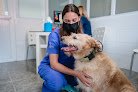 Negocio Centro Veterinario Piélagos