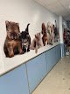 Negocio Centro Veterinario Pitiuso