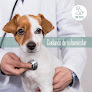 Negocio Centro Veterinario San Mateo - Veterinarios En Oviedo
