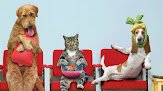 Negocio Centro Veterinario San Rafael