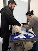 Negocio Centro Veterinario Trasmiera
