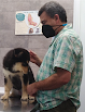 Negocio ClÍnica VeterinÀria Reus