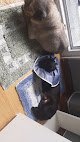 Negocio ClÍnica Veterinaria Altza