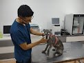 Negocio Clínica Veterinaria Alameda Urgencias Telefonicas 24h