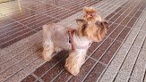 Clinica Veterinaria Andia