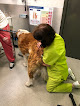 Clínica Veterinaria Anida