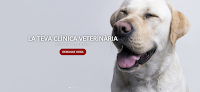 Negocio Clínica Veterinària Animàlia