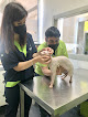 Negocio Clínica Veterinaria Animálitas
