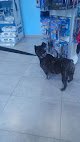 Negocio Clínica Veterinaria Arealonga