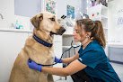 Clinica Veterinaria Ariznabarra