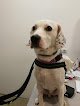 Clínica Veterinaria Arol | Mivet