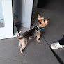 Negocio Clínica Veterinaria Balmacan