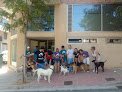 Negocio Clínica Veterinaria Belén Carasa