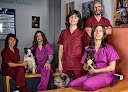 Negocio Clínica Veterinaria Burlada