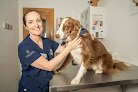Negocio Clínica Veterinaria Calviavet
