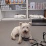 Negocio Clínica Veterinaria Campo Volantín | Mivet