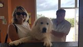 Negocio Clínica Veterinaria Cardona & Von Hofe, S.c.p.