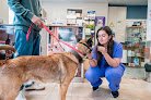 Negocio Clínica Veterinaria Castaños