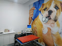 Clínica Veterinaria Cervantes | Mivet