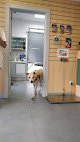 Negocio Clínica Veterinaria Colindres