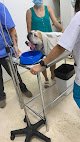 Clínica Veterinaria Domesticos Y Exóticos Peludets