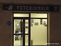 Negocio Clinica Veterinaria Dulantzi